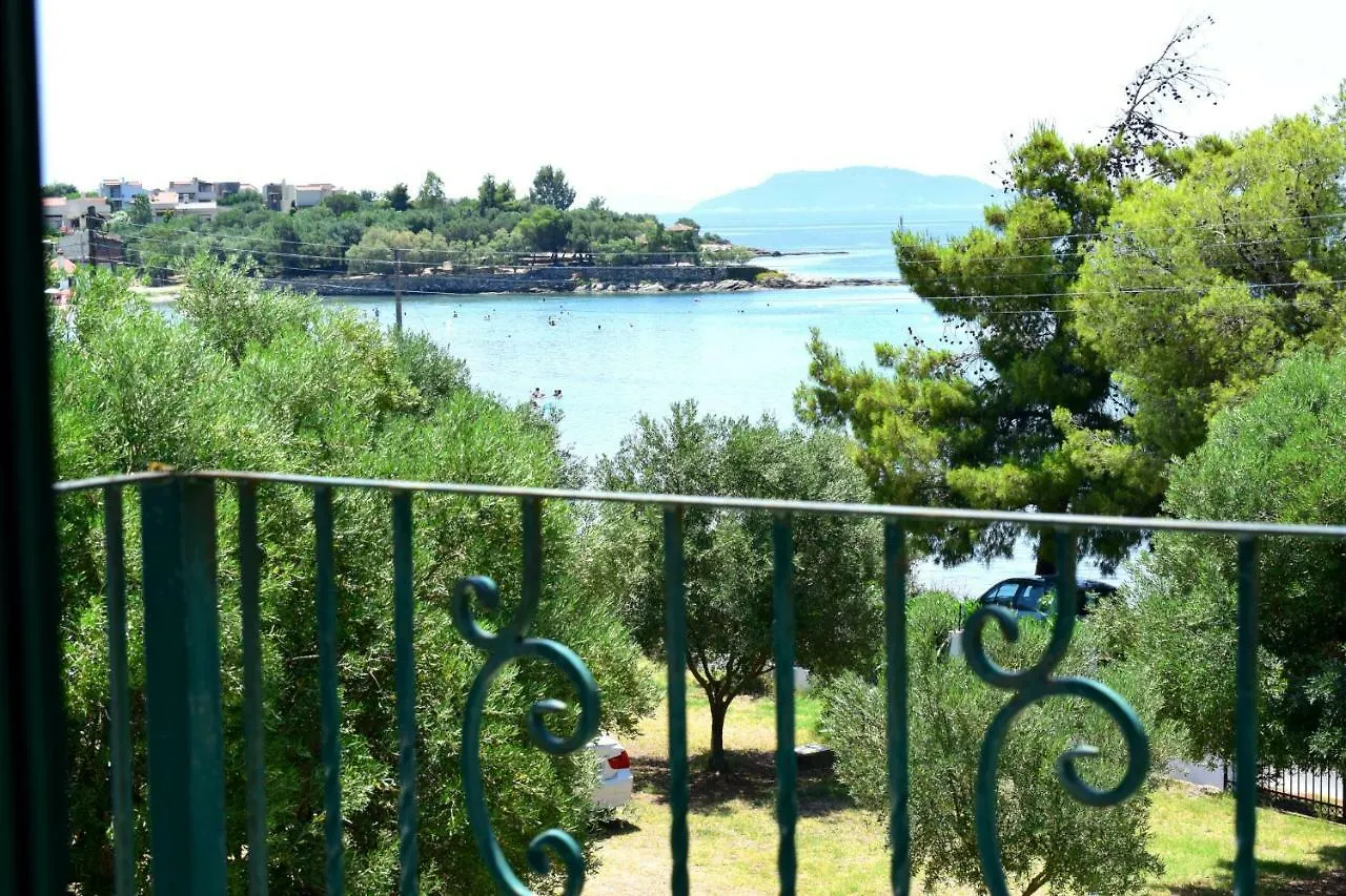 Olivelias Beachfront Hotel 0*, Elia Nikitis